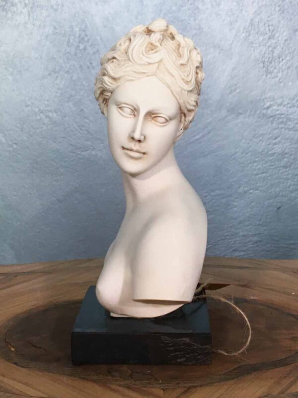 Busto in polvere di marmo autore Giuseppe Bessi - immagine 2