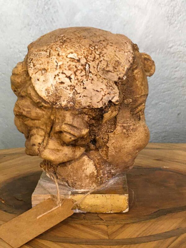 Scultura testa di putto in gesso da recupero - immagine 3