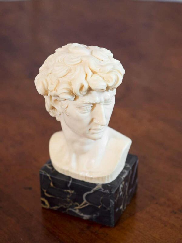 Busto polvere di marmo David di  “A. Santini” base alabastro - immagine 3