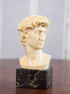 Busto polvere di marmo David di  “A. Santini” base alabastro