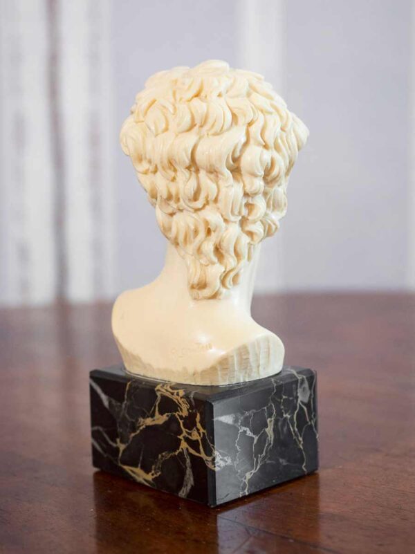 Busto polvere di marmo David di  “A. Santini” base alabastro - immagine 2