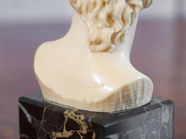Busto polvere di marmo David di  “A. Santini” base alabastro - immagine 4